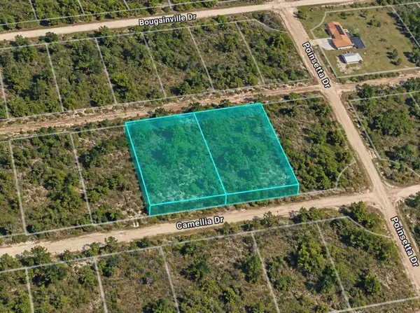 304 & 306 Camellia Drive, INDIAN LAKE ESTATES, FL 33855
