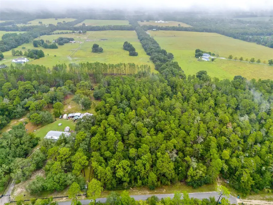 Whipperwill Street, Brooksville, FL 34601 - #3