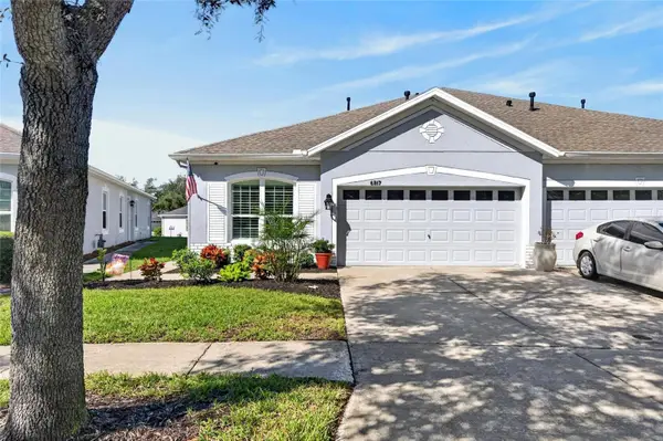 6817 Surrey Oak Drive, APOLLO BEACH, FL 33572