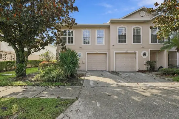 9951 Ashburn Lake Drive, TAMPA, FL 33610