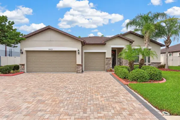 18431 Cortes Creek Boulevard, SPRING HILL, FL 34610