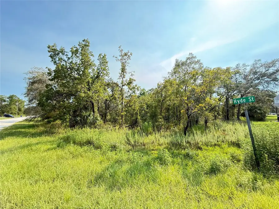 11096 Marsh Wren Avenue, Weeki Wachee, FL 34614 - #2