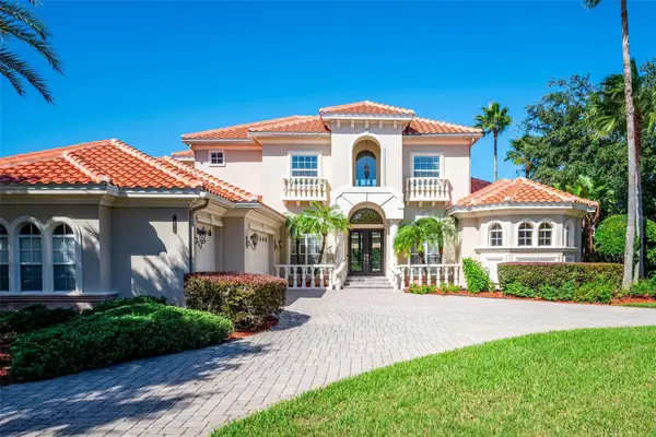 20014 Lomond Lane, TAMPA, FL 33647