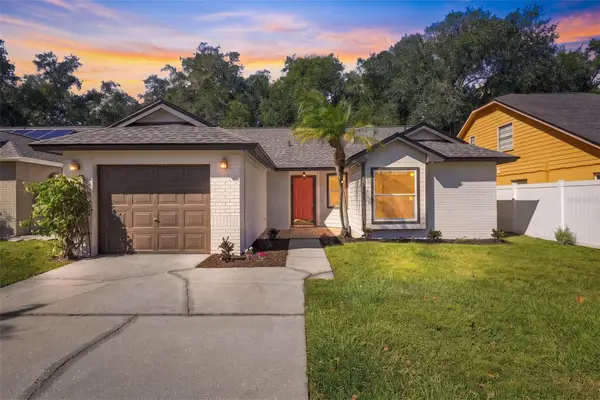 12808 Dunhill Drive, TAMPA, FL 33624