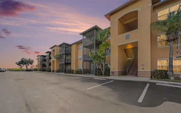 4306 Bayside Village Drive #204, TAMPA, FL 33615