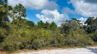 916 (BLK 143 LOT 8) El Dorado Drive, INDIAN LAKE ESTATES, FL 33855