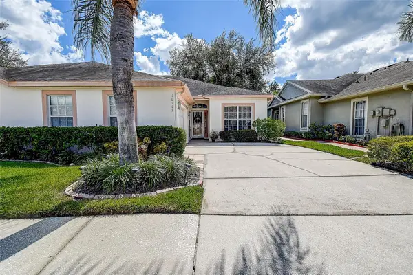 10109 Mowry Lane, TAMPA, FL 33625