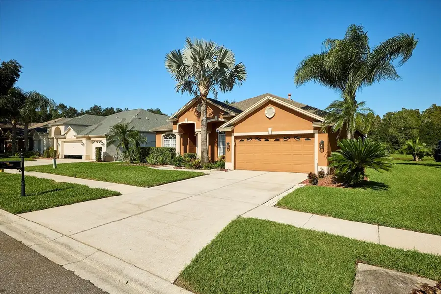 18016 Royal Forest Drive, Tampa, FL 33647 - #2