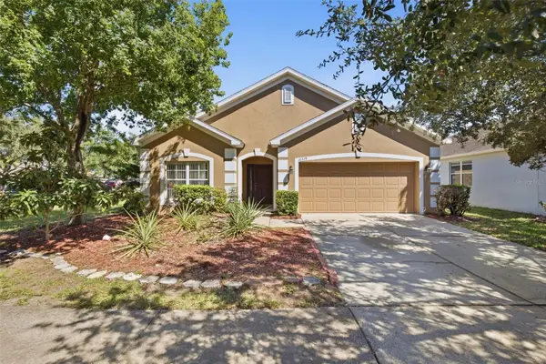 10328 Celtic Ash Drive, RUSKIN, FL 33573