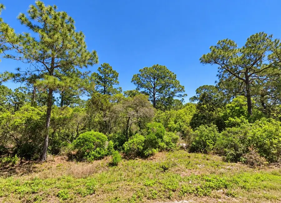 105 Suwannee Lane, Lake Placid, FL 33852 - #2