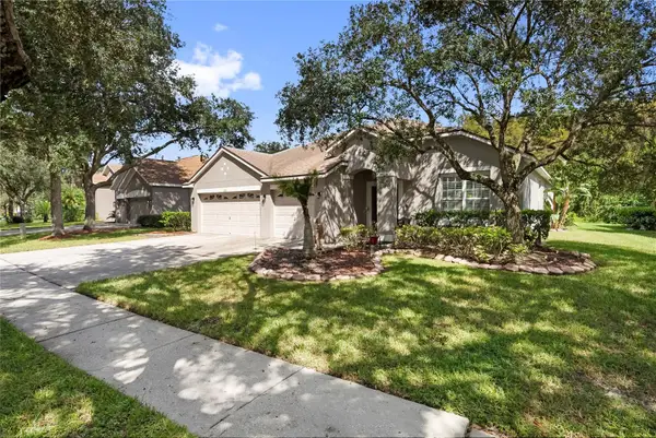 8121 Brinegar Circle, TAMPA, FL 33647