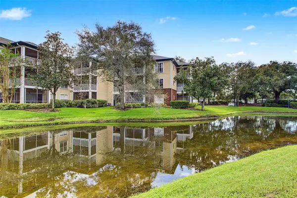 4211 Chatham Oak Court #111, TAMPA, FL 33624