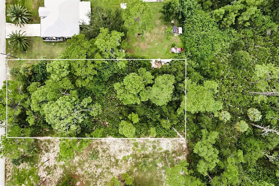 2011 Wells Avenue, Alva, FL 33920 - #3