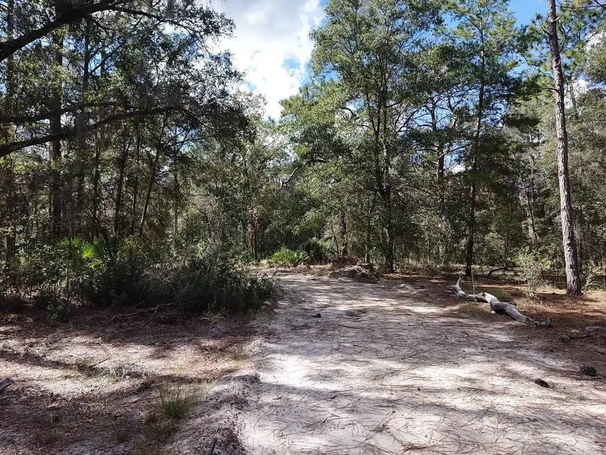 7416 N Nathan Point, Crystal River, FL 34428 - #1