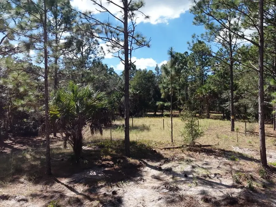 7416 N Nathan Point, Crystal River, FL 34428 - #2