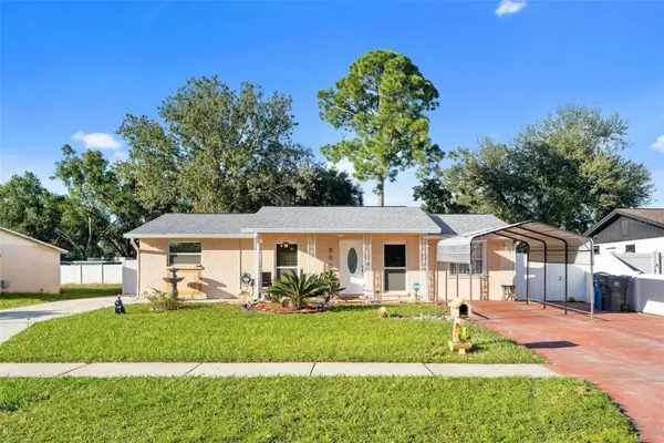 8513 Woodlake Drive, TAMPA, FL 33615
