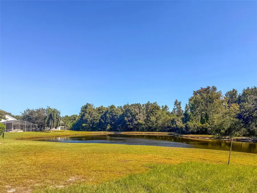 19145 Golden Cacoon Place, Lutz, FL 33558 - #2