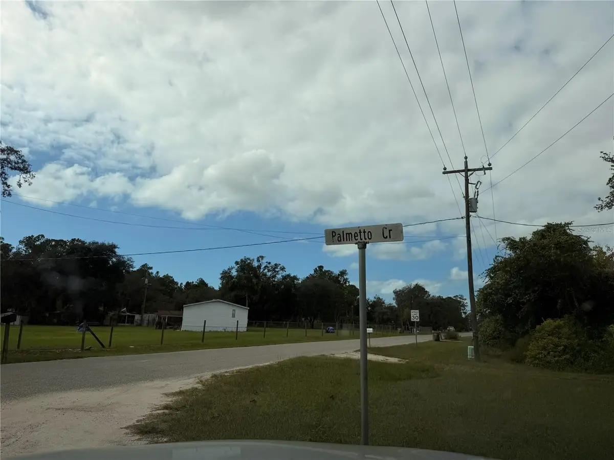 Lot 55 Palmetto Circle, Paisley, FL 32767 - #1