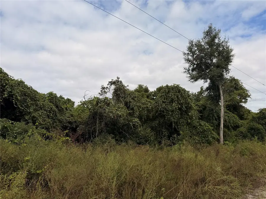 Lot 55 Palmetto Circle, Paisley, FL 32767 - #2