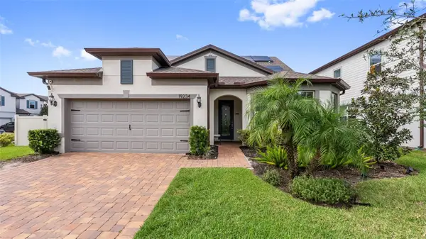 19234 Mossy Pine Drive, TAMPA, FL 33647