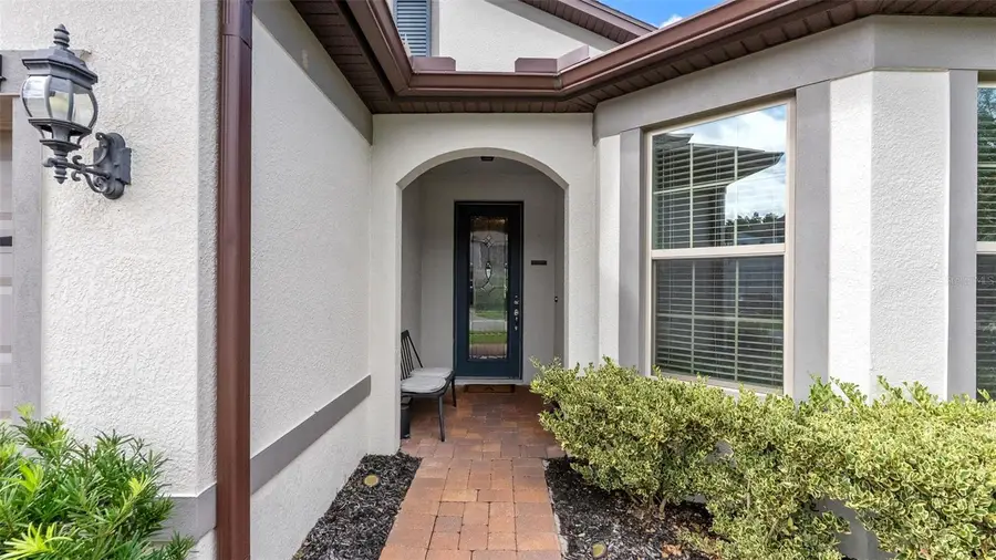 19234 Mossy Pine Drive, Tampa, FL 33647 - #2