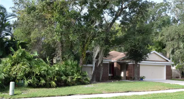 450 Cascade Lane, PALM HARBOR, FL 34684