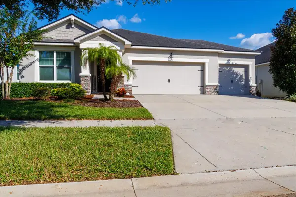 1011 Better Days Place, VALRICO, FL 33594