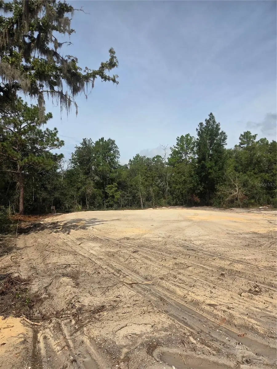 16147 Sheldrake Loop, Weeki Wachee, FL 34614 - #1