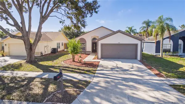 11108 Windpoint Drive, TAMPA, FL 33635