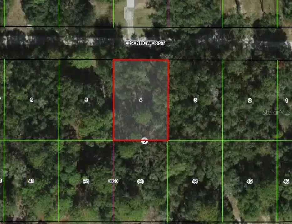 2805 Eisenhower Street W, Inverness, FL 34453 - #1