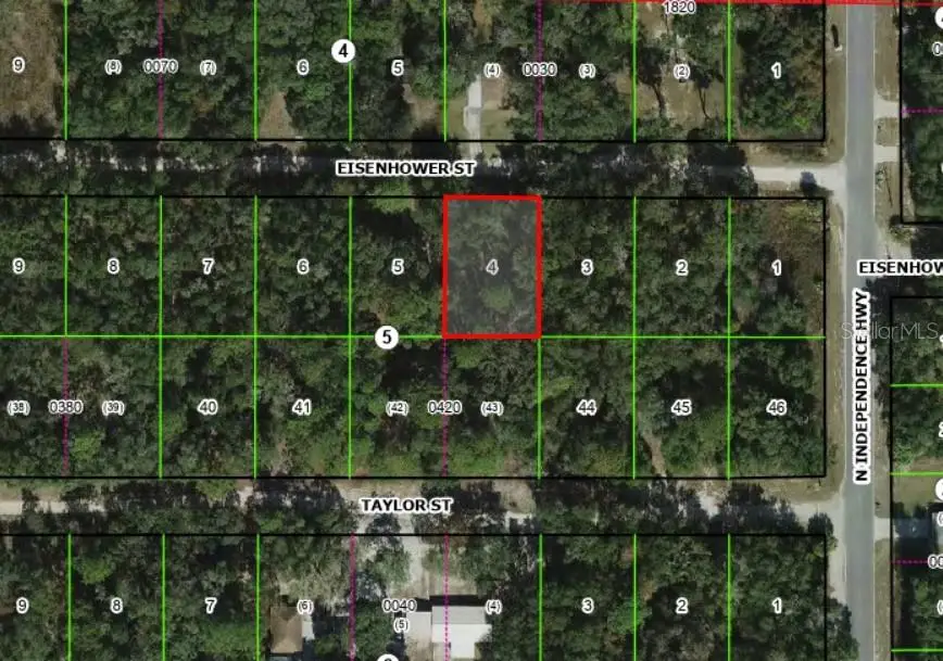 2805 Eisenhower Street W, Inverness, FL 34453 - #2