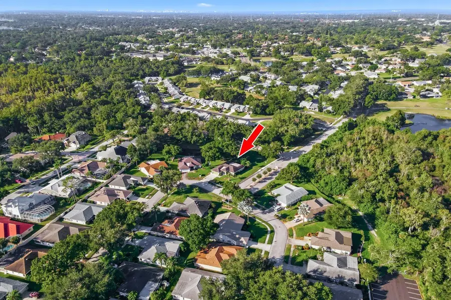 3812 Tarpon Pointe Circle, Palm Harbor, FL 34684 - #2