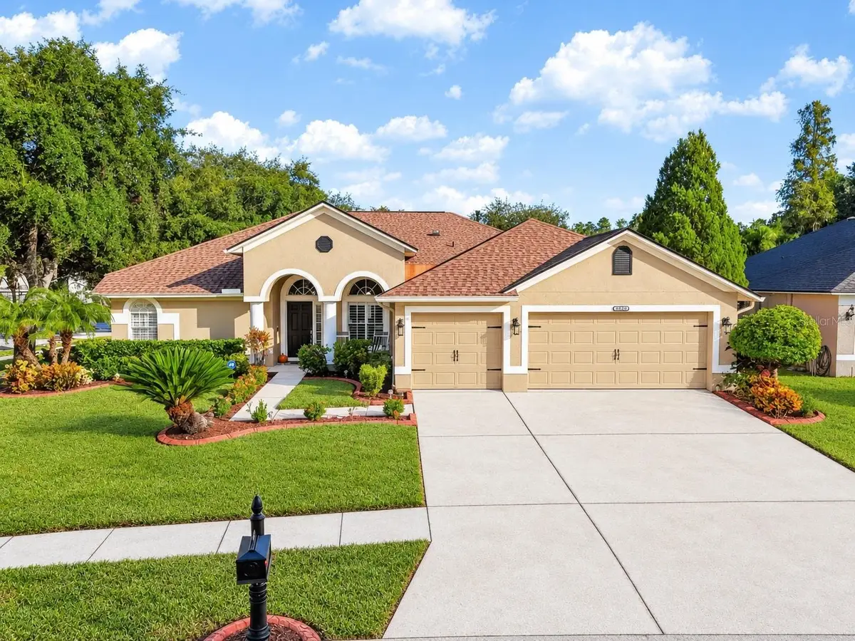 12541 Leatherleaf Drive, Tampa, FL 33626 - #1