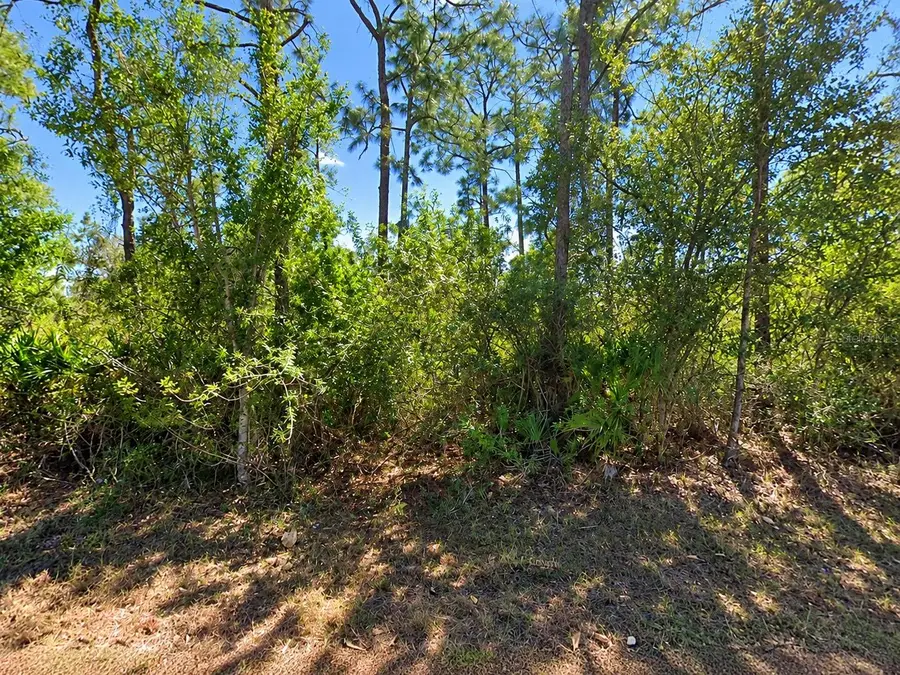 902 E 15th Street, Lehigh Acres, FL 33972 - #2
