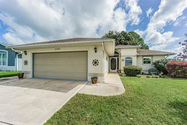 10704 Moshie Lane, SAN ANTONIO, FL 33576