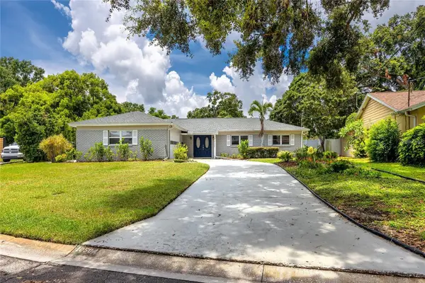 10504 Lacera Drive, TAMPA, FL 33618