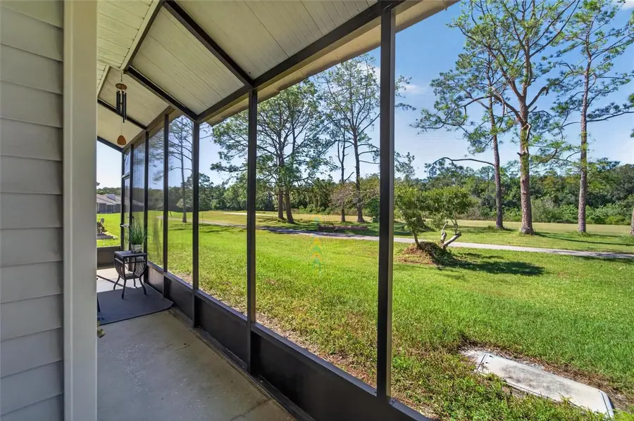16216 Rambling Vine Drive W, Tampa, FL 33624 - #3