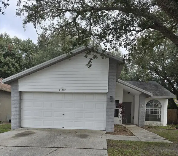 13612 Laraway Drive, RIVERVIEW, FL 33579