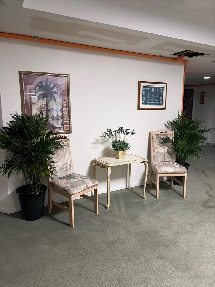 925 N Halifax Avenue #909, Daytona Beach, FL 32118 - #3