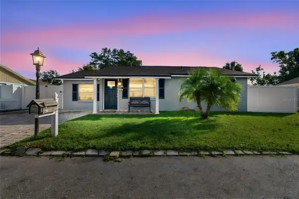 10118 Wheatley Hills Court, TAMPA, FL 33615