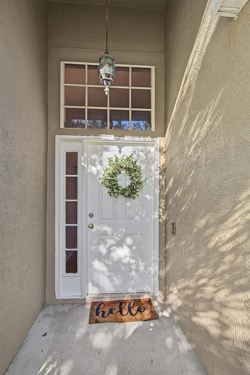 29947 Morningmist Drive, Wesley Chapel, FL 33543 - #2