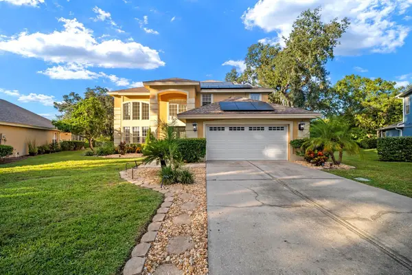 5436 Twin Creeks Drive, VALRICO, FL 33596