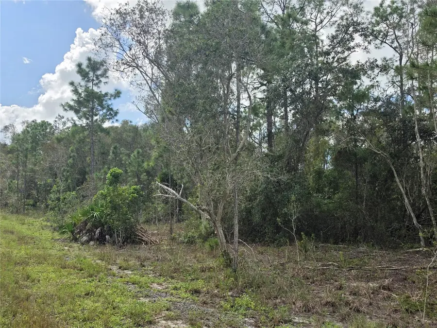1012 Kodiak Avenue, Lehigh Acres, FL 33974 - #3