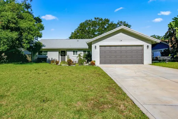 244 Dunbridge Drive, PALM HARBOR, FL 34684