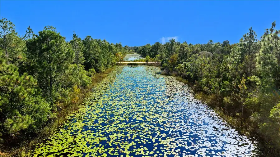 18182 Rapidan Road, Weeki Wachee, FL 34614 - #2