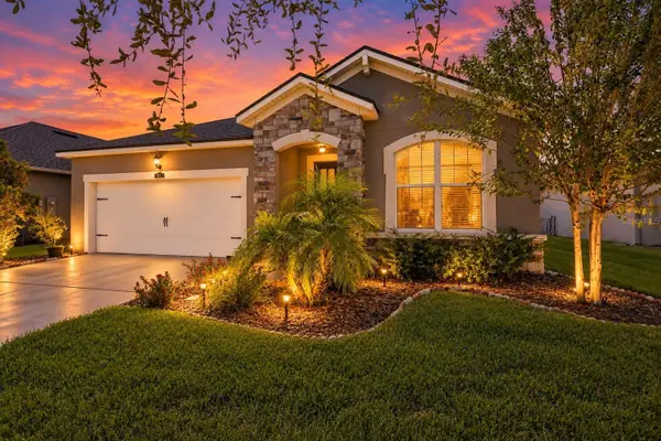 11417 Blue Woods Drive, RIVERVIEW, FL 33569