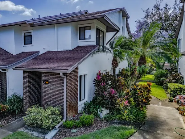 616 Fairmont Avenue #D, SAFETY HARBOR, FL 34695