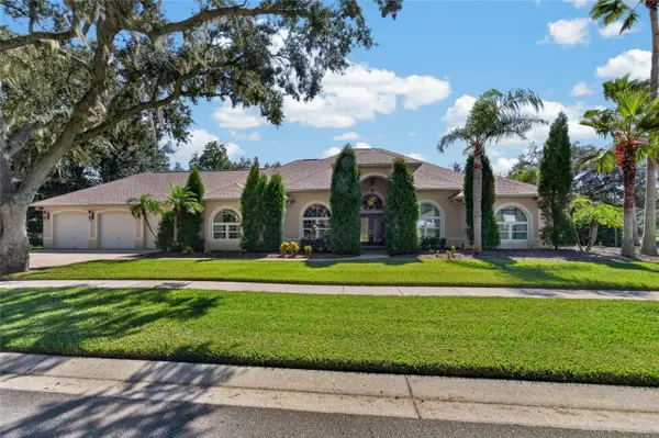 1009 Emerald Creek Drive, VALRICO, FL 33596