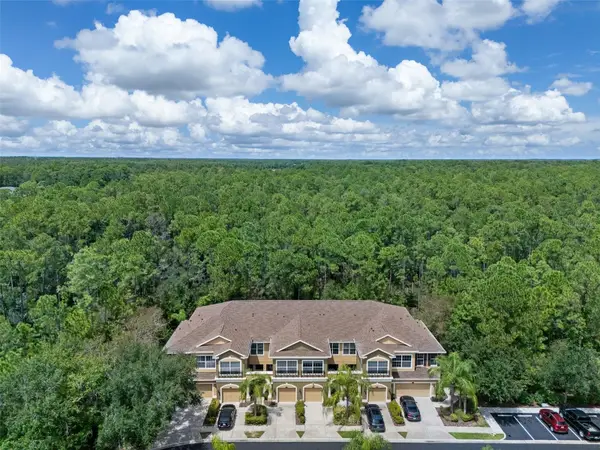 12612 Silverdale Street, TAMPA, FL 33626