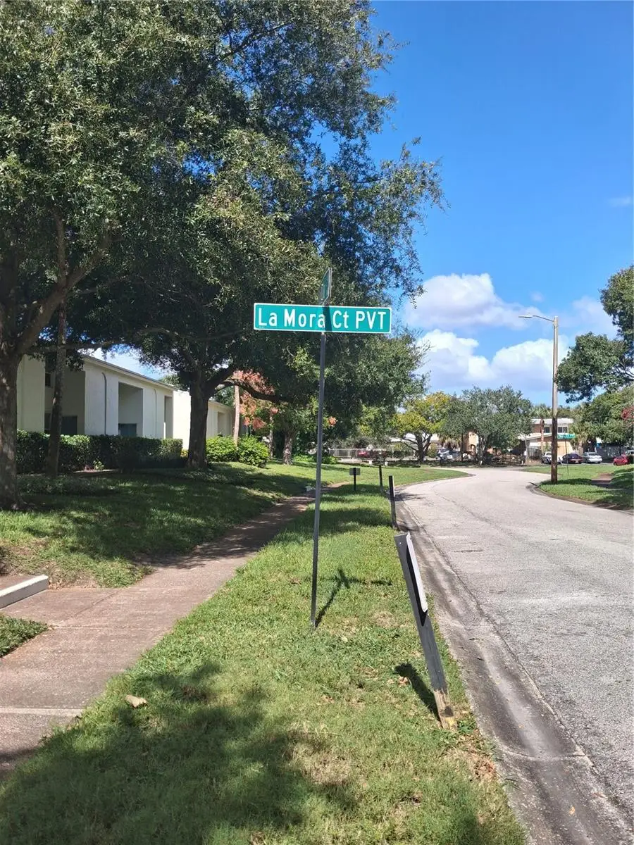 4310 La Mora Court, Tampa, FL 33611 - #2